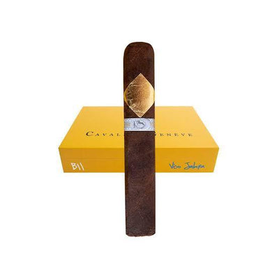 CAVALIER VISO JALAPA TORO