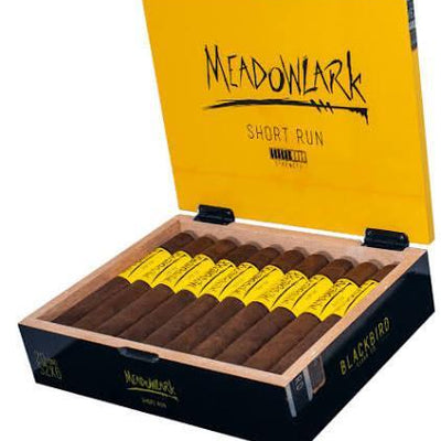 BLACKBIRD MEADOWLARK (SHORT RUN) TORO