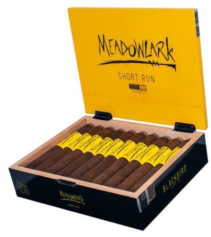 BLACKBIRD MEADOWLARK (SHORT RUN) TORO