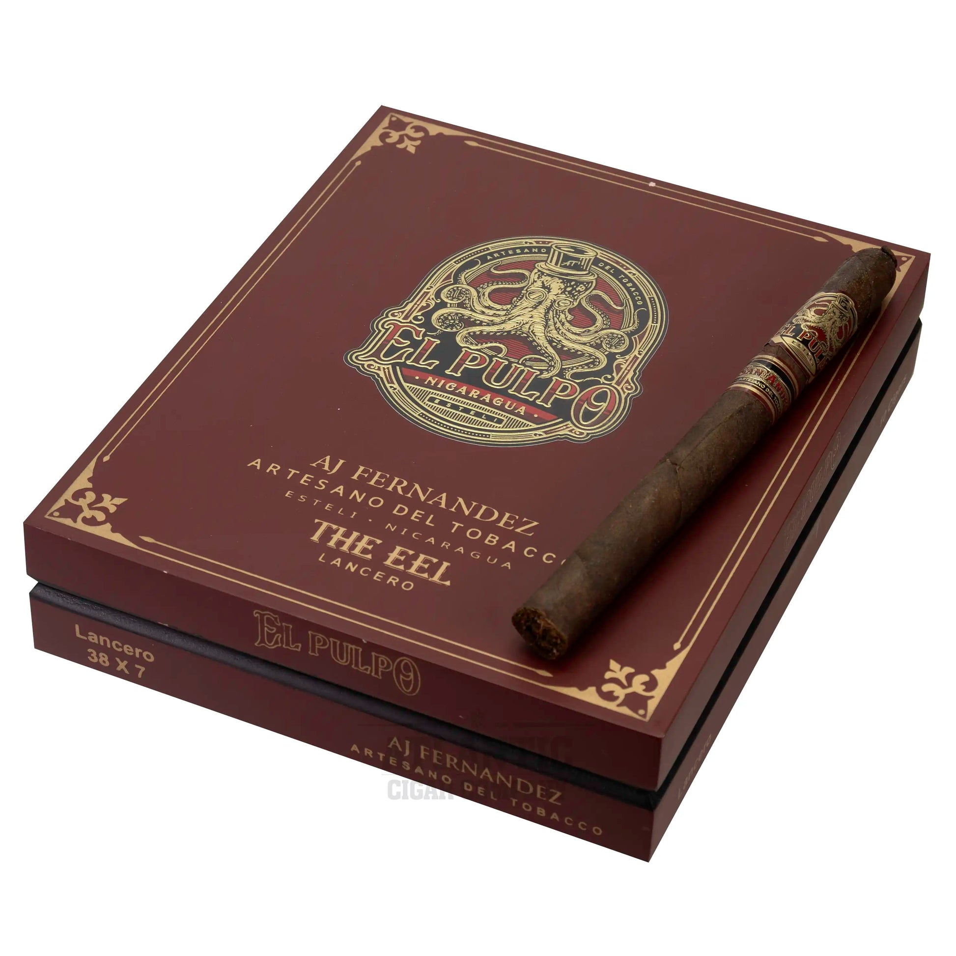 EL PULPO LANCERO “THE EEL”