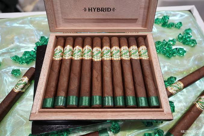 ESPINOSA LARANJA HYBRID SHORT CHURCHILL