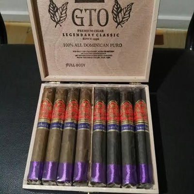 GTO ANESTHESIA 8 YR AGED COROJO (MED BODY)