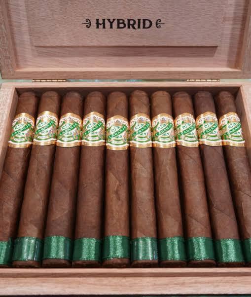 ESPINOSA LARANJA HYBRID TORO