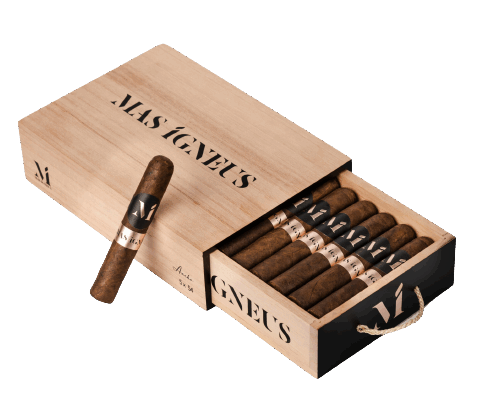 LUCIANO Mas Igneus 6x60