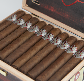 ADVentura Barbarroja's Invasion Toro 6x54