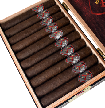 ADVentura Barbarroja's Invasion Robusto 5x52
